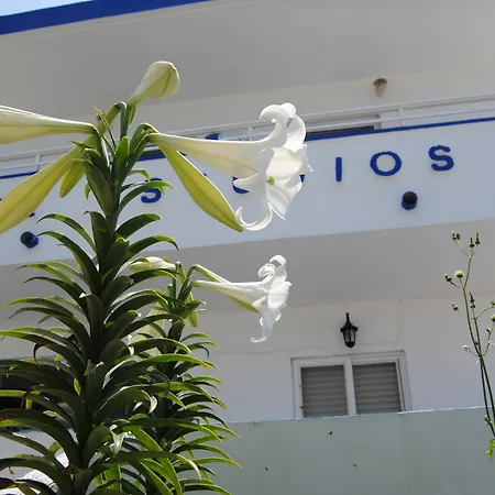 Irene * Кефалос